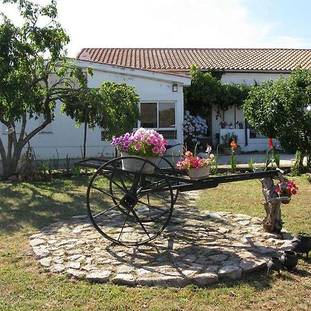 El Condado Casa Rural フエンテス・デ・オニョロの戦い エクステリア 写真
